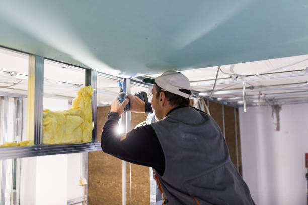 Best Eco-Friendly Insulation in Farmington, UT